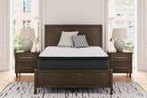 Lullora Furniture - Ashley Furniture - Limited Edition PT Mattresses - Queen / White - M41231