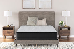 Lullora Furniture - Ashley Furniture - Palisades Plush Mattresses - King / Gray/Blue - M41641