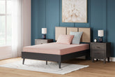 Lullora Furniture - Ashley Furniture - iKidz Coral Mattresses - Full and Pillow 2/CN / Coral - M43121