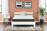 Lullora Furniture - Ashley Furniture - 10 Inch Pocketed Hybrid Mattresses - King / White - M58941