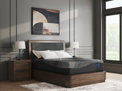 Lullora Furniture - Ashley Furniture - Millennium 2.0 Foam 14 Inch Mattresses - Queen / Black - M31231