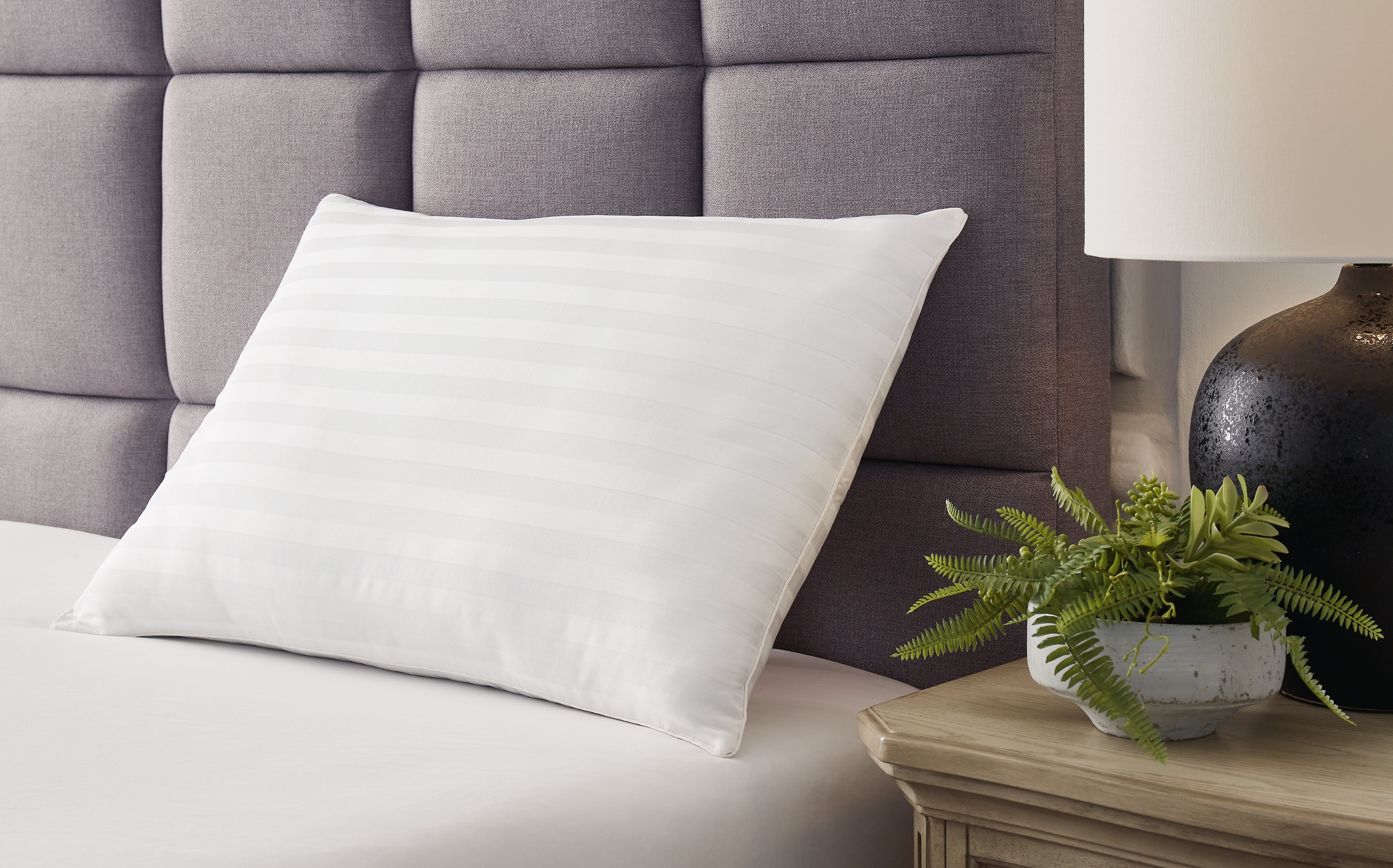 Lullora Furniture - Ashley Furniture - Zephyr 2.0 Pillows - Cotton Pillow (Set of 2) / White - M52110P